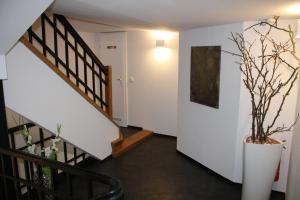Fotografie z fotogalerie ubytování Elements Hotel v Řezně