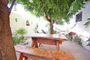 福塔萊薩的住宿－Pousada Fortaleza Aeroporto House，树下野餐桌和长凳