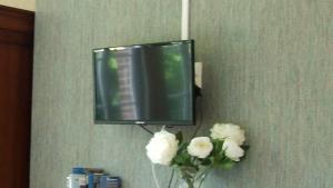 En tv och/eller ett underhållningssystem på Studio du Valvion