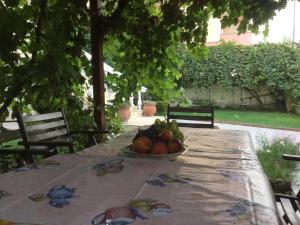 Zahrada ubytování Villa Natali