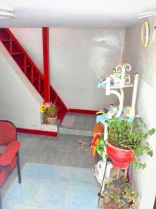 Mynd úr myndasafni af Cuzco Central Hostel í Cusco