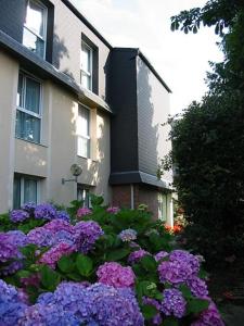 a bunch of purple flowers in front of a building at Hôtel Restaurant La Paix La Robe et le Palais in Forges-les-Eaux +18 photos