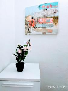 Fotografia z galérie ubytovania Valencian Dreams of the Proletariat v destinácii Valencia