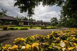 宗通縣的住宿－Doi Inthanon Riverside resort，一条在房子前面有一堆黄色花的路