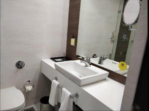 een badkamer met een wastafel, een toilet en een spiegel bij Lemon Tree Hotel, Banjara Hills, Hyderabad in Hyderabad
