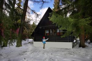 a person standing in the snow in front of a cabin at Bungalovy pri Hoteli Spojar in Žiar