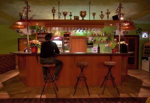 un hombre sentado en un bar en un restaurante en Bungalovy pri Hoteli Spojar, en Žiar