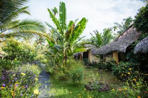 Zahrada ubytování Mekong Home