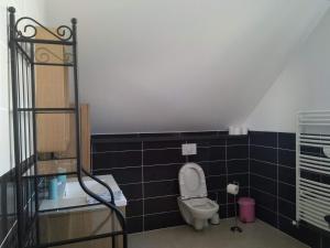 a bathroom with a toilet and black tiles at Etape au Calme à 4Km du Center de Reims in Reims