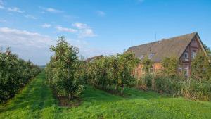ヨルクにあるHerta Kruse Ferienwohnungenのりんごの木が植えられた丘の上の古家