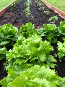 Φωτογραφία από το άλμπουμ του Bonalife - Senda del Oso σε Sabadia