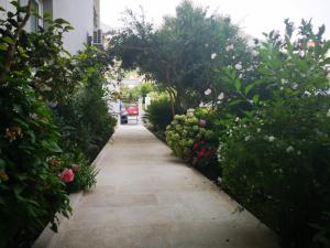 Fotografie z fotogalerie ubytování Apartments Ivandić v Tučepi + 67 fotografií