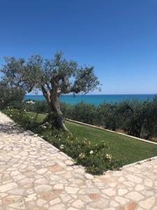 Foto dalla galleria di Villa Sami a Vasto