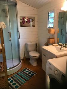 a bathroom with a shower and a toilet and a sink at Bungalow meublé près du lagon in La Saline les Bains