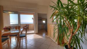Kuchyňa alebo kuchynka v ubytovaní Apartment Villa Molina