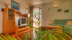 Televízia a/alebo spoločenská miestnosť v ubytovaní Apartment Villa Molina