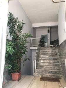 Foto Ateenas asuva majutusasutuse Kerameikos Akropolis View galeriist