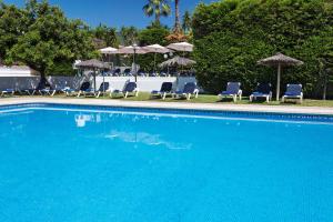 Piscina di Exe Las Adelfas o nelle vicinanze
