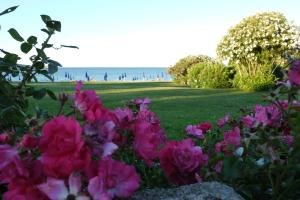 a garden with pink flowers and the ocean in the background at Due Lune Puntaldia Resort & Golf in San Teodoro
