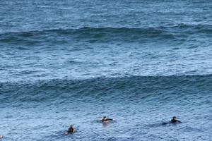 three people are swimming in the ocean at Apartment On King Street in Newcastle