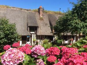 een tuin met bloemen voor een huis met rieten dak bij La Maraiquaise in Marais-Vernier