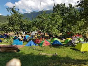 Priroda u blizini brvnare