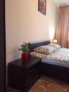 リヴィウにあるApartment Savkasのベッドルーム1室(ベッド1台、鉢植えのテーブル付)
