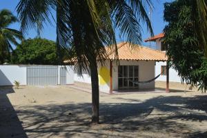 a house with a palm tree in front of it at Brasil-Kite in Paracuru