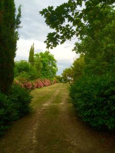 un chemin de terre planté d'arbres et de fleurs dans l'établissement Il Colle delle Terrazze, à Fano
