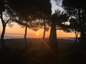 un coucher de soleil avec des arbres au premier plan dans l'établissement Il Colle delle Terrazze, à Fano