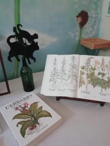 twee boeken op een tafel met een vaas en een plant bij La casa di Zia Mimina in Civitella Casanova