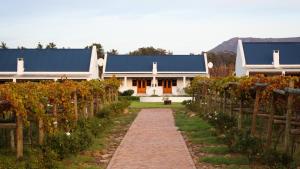 a pathway leading to a house with a bunch of vines at Endless Vineyards at Wildekrans Wine Estate in Botrivier