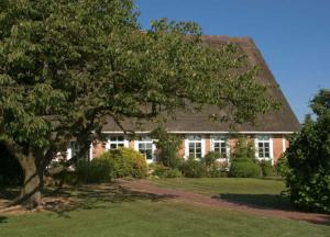 a brick house with a tree in front of it at Ferienwohnungen von Schassen in Twielenfleth