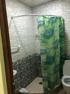 uma casa de banho com uma cortina de chuveiro e um WC. em Dzorak em Halidzor