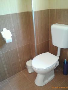 a bathroom with a white toilet and a toilet paper dispenser at Vila Bachkovo in Bachkovo