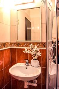 uma casa de banho com um lavatório e um espelho em Apartmány RELAX Podhájska em Podhájska