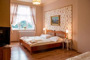 ein Schlafzimmer mit einem großen Bett und einem Fenster in der Unterkunft Ria Apartment Vyhlídka in Karlsbad