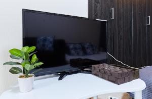 a tv sitting on a white table with a plant at Nishikamata ColorBee House in Tokyo