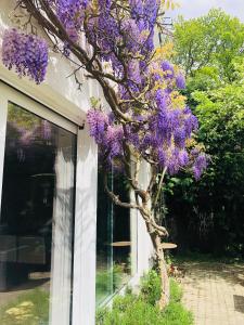 Zahrada ubytování Villa Plagniau