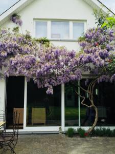 Zahrada ubytování Villa Plagniau
