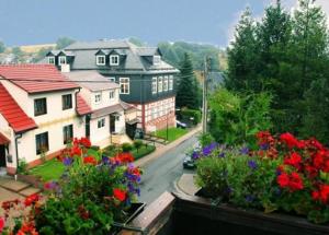 vistas a una calle con casas y flores en Gemütliche Ferienwohnung im Thüringer Wald, nahe des Rennsteigs - pure Erholung, en Schmiedefeld am Rennsteig