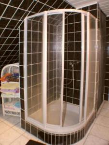 y baño con ducha y espejo. en Gemütliche Ferienwohnung im Thüringer Wald, nahe des Rennsteigs - pure Erholung, en Schmiedefeld am Rennsteig