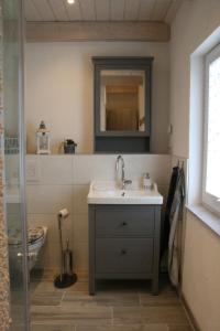 RöthaにあるStrandhaus "Knuffeltje"のバスルーム(洗面台、鏡、トイレ付)