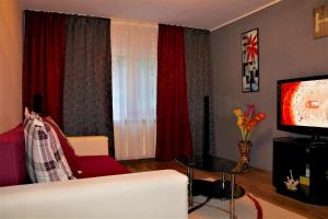 圖爾恰的住宿－3-Room Delta Modern Residence，带沙发和电视的客厅