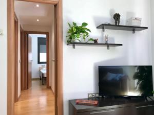 A television and/or entertainment center at Apartament Centre Històric a Olot