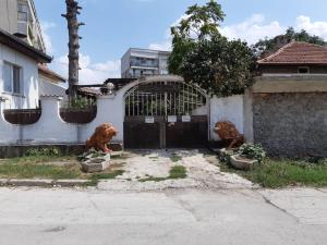 dos perros sentados frente a un edificio en byala kısta apart, en Isperikh