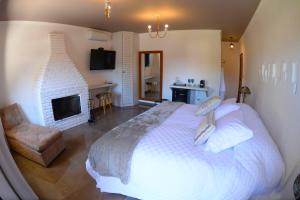 ペネドにあるLe Garden Pousada Boutiqueの大きなベッドと暖炉のある寝室