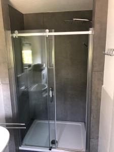ラールにあるFerienwohnungen am Naturbadのバスルーム(ガラスドア付きのシャワー付)