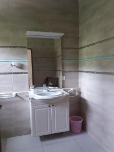 ein Badezimmer mit einem weißen Waschbecken und einem Spiegel in der Unterkunft Gîte 1001 Nuits - ALADIN in Bouillante