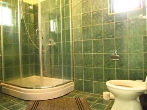 a green tiled bathroom with a toilet and a shower at Villa Two Brothers in Ohrid